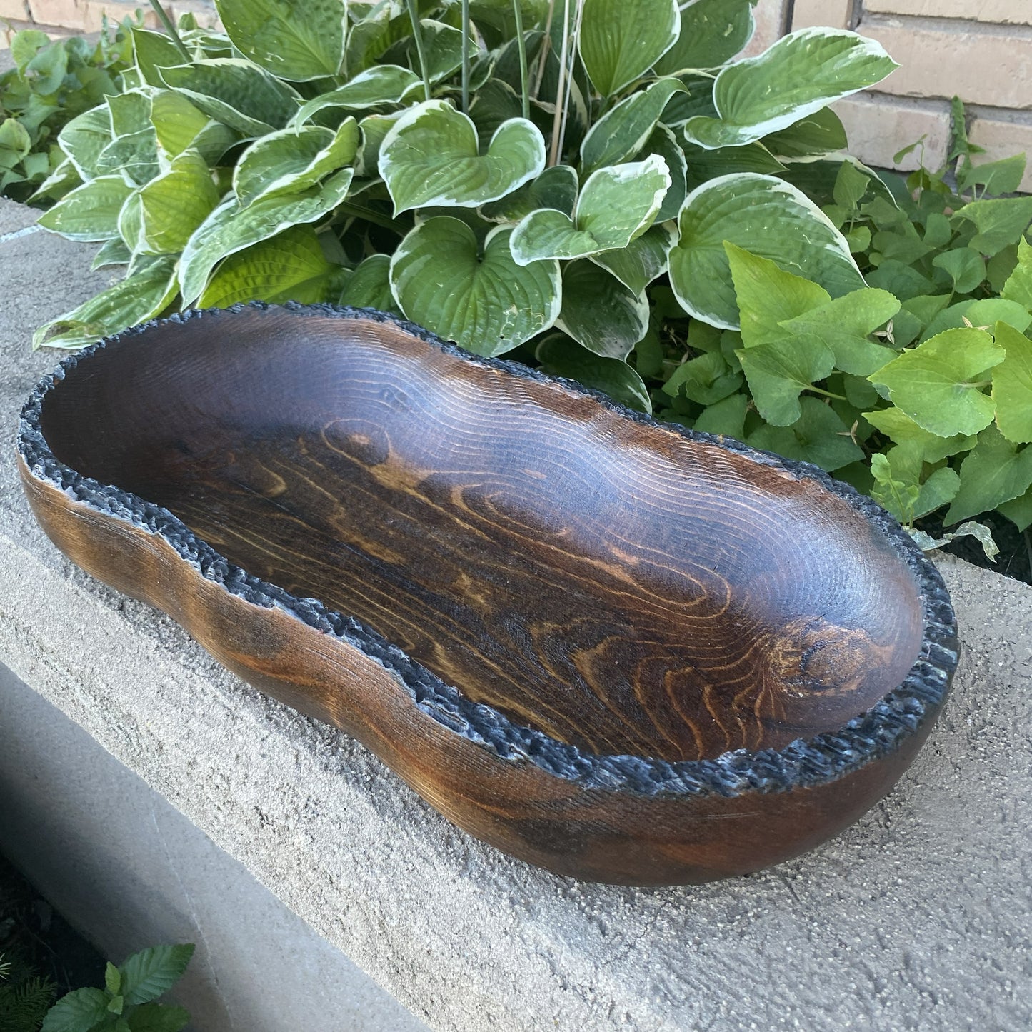 Live Edge Wood Dough Bowl | Heirloom Candle Ready Vessel | Handcrafted Rustic Farmhouse Decor | Large Wooden Centerpiece