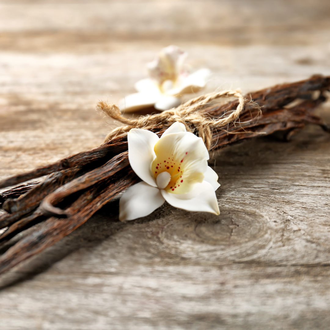 Iced Vanilla Woods Fragrance Oil